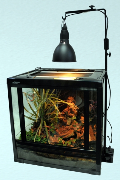 Lamp Support "2 in 1" Lampenständer Lucky Reptil Farbe schwarz